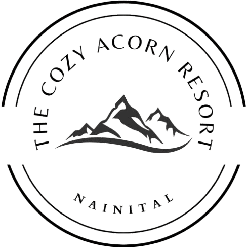 mall road hotel nainital